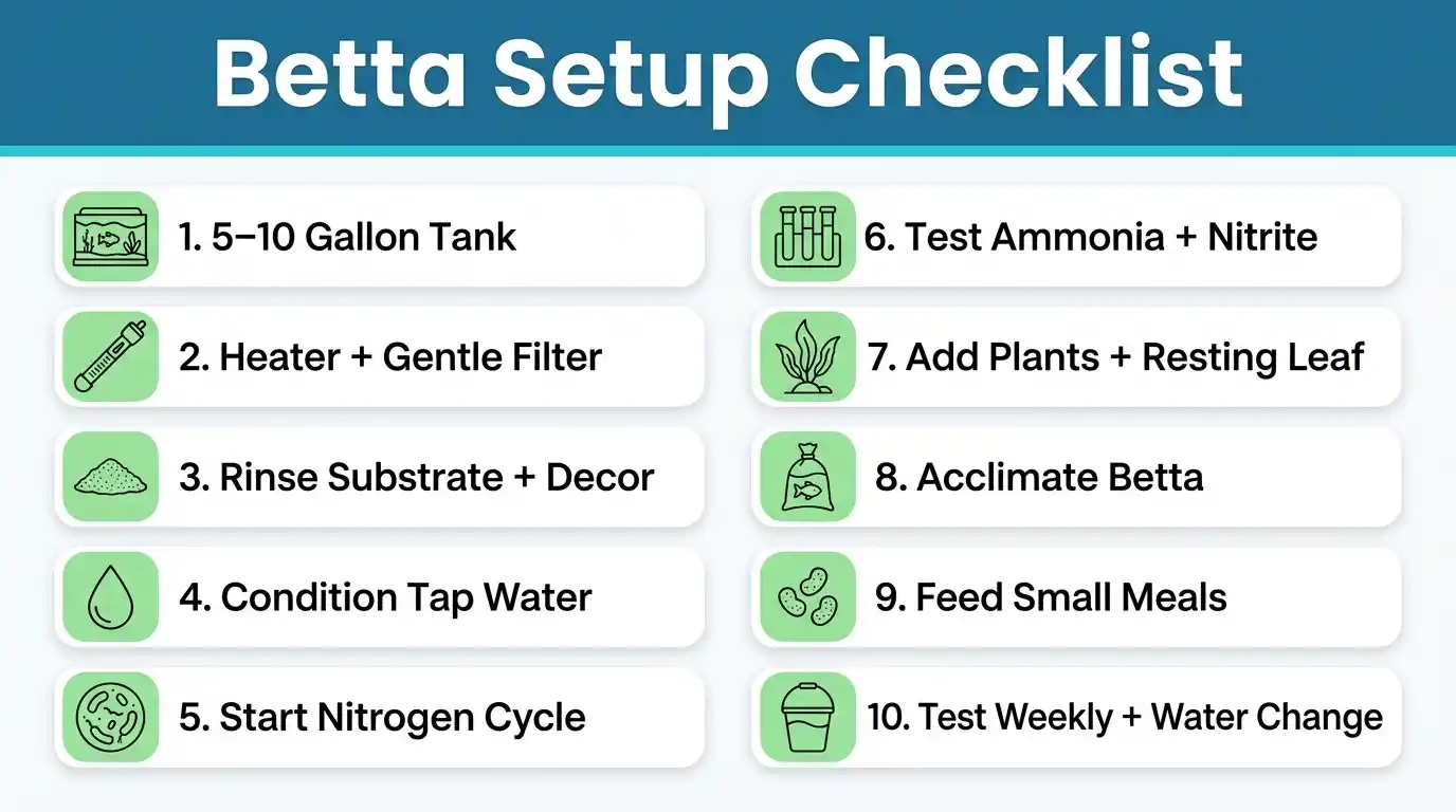 Step-by-step checklist showing the essential stages of setting up a beginner betta aquarium.