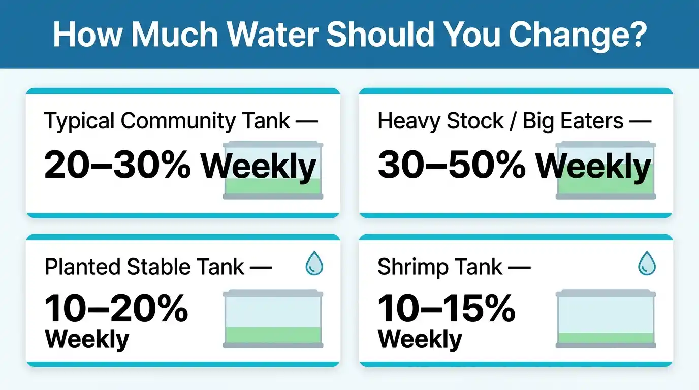 Different freshwater aquarium water-change volumes for community, heavily stocked, planted, and shrimp tanks.