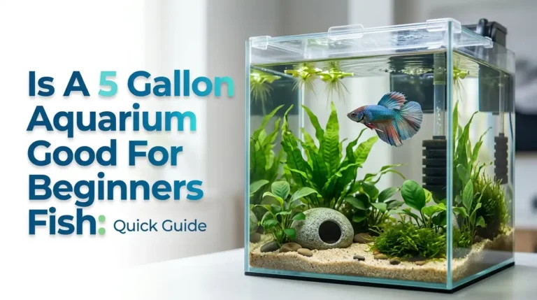 A healthy betta swimming in a professionally planted 5-gallon aquarium with gentle filtration, floating plants, natural substrate, and a secure lid.
