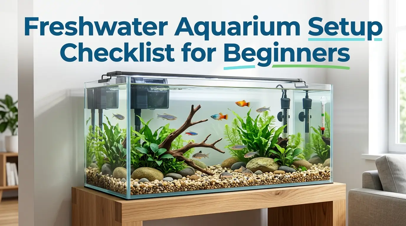 Freshwater Aquarium Setup Checklist For Beginners