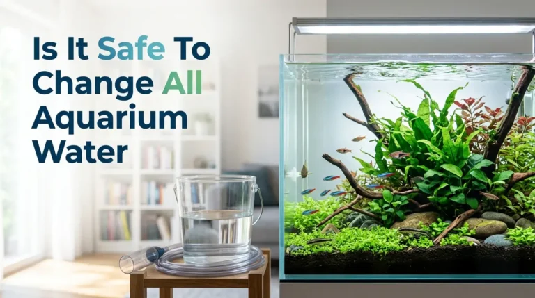 Is It Safe To Change All Aquarium Water